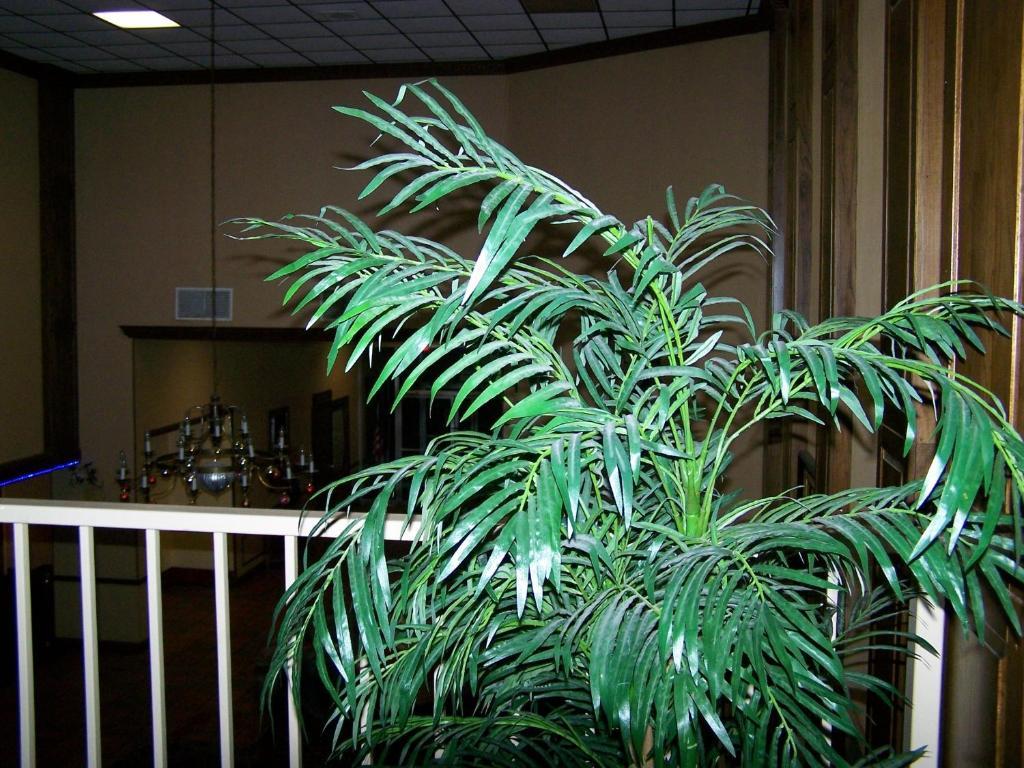 Seasons Inn And Suites Fort Smith Exteriör bild